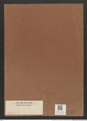 Diatomeae indet. (de-Toni-Nr.: Species 3036 var. ?) Zeichnungen Sammlung Grunow Mappe 03258 (Herbarium_W_Grunow_drawings_Folder_03258)